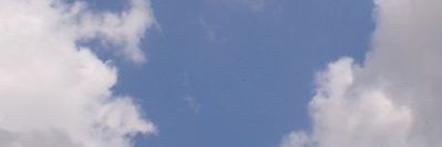 a_pacific_mint's profile banner image