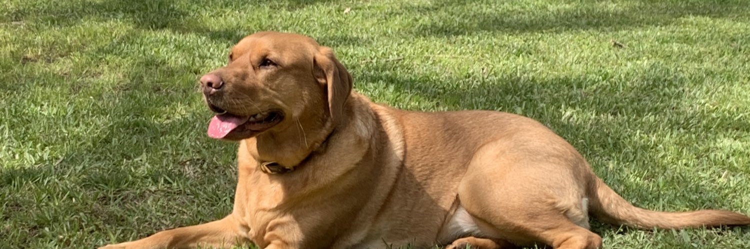 taylorlayne25's profile banner image
