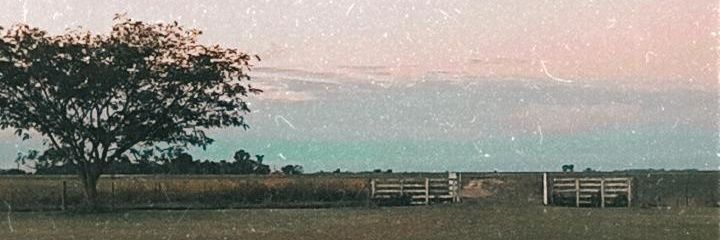 RoLuberriaga's profile banner image