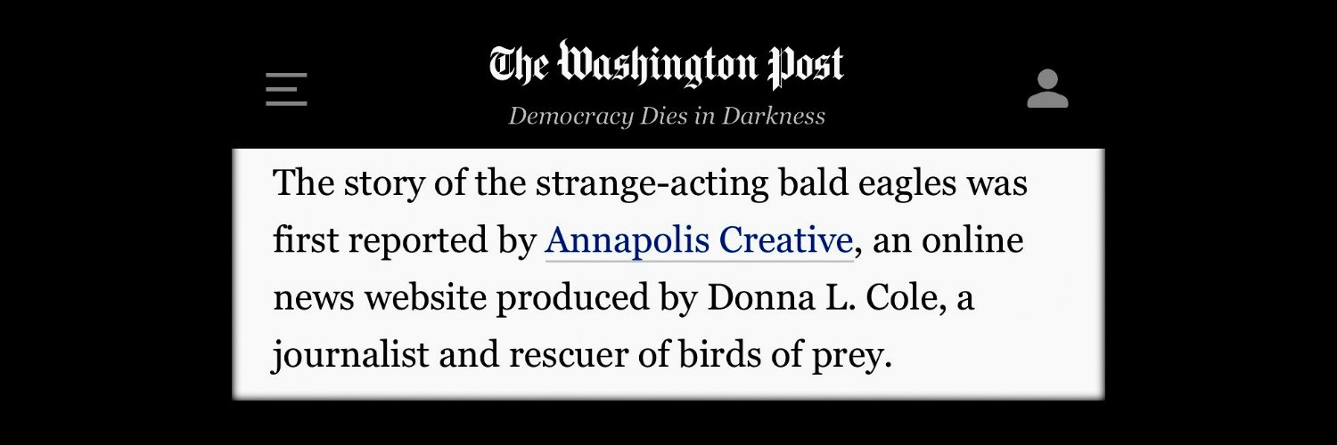 Donna L. Cole 🦅 banner