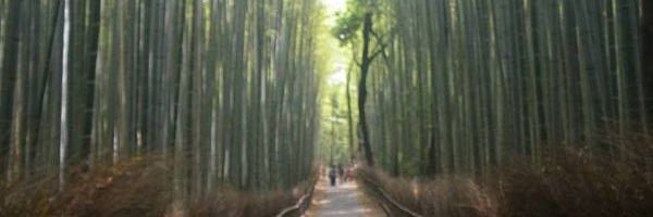 kengo_Re's profile banner image
