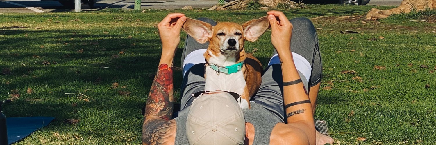 jefflax's profile banner image