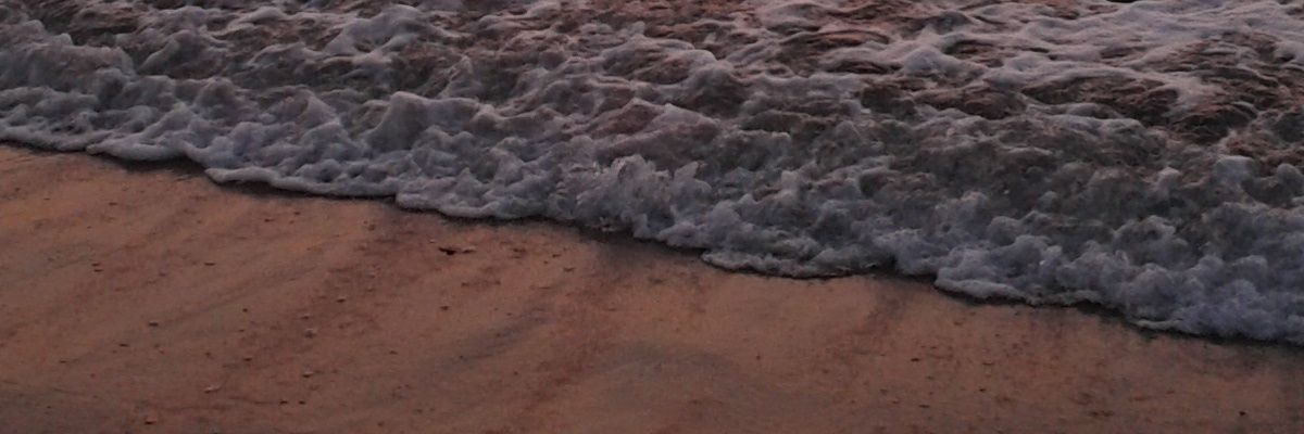catch_jesse's profile banner image