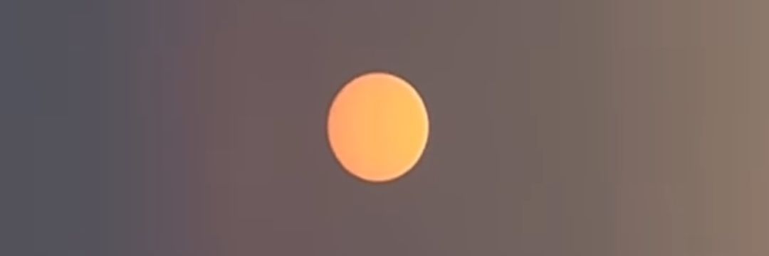LEO🇧🇷 banner