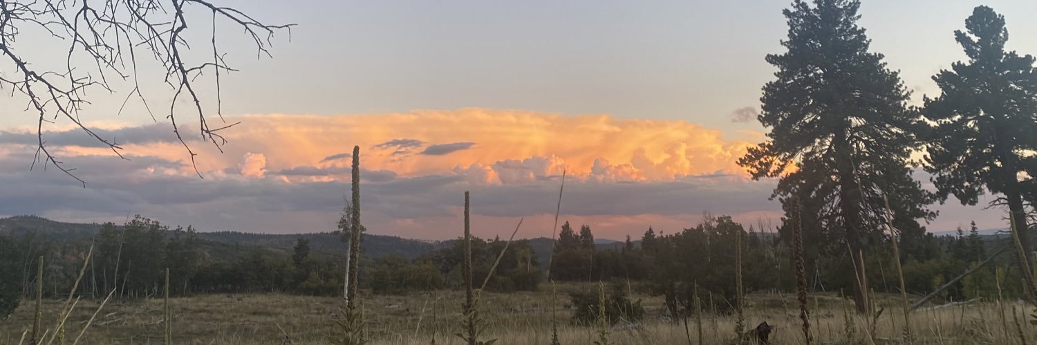 jordannielson03's profile banner image