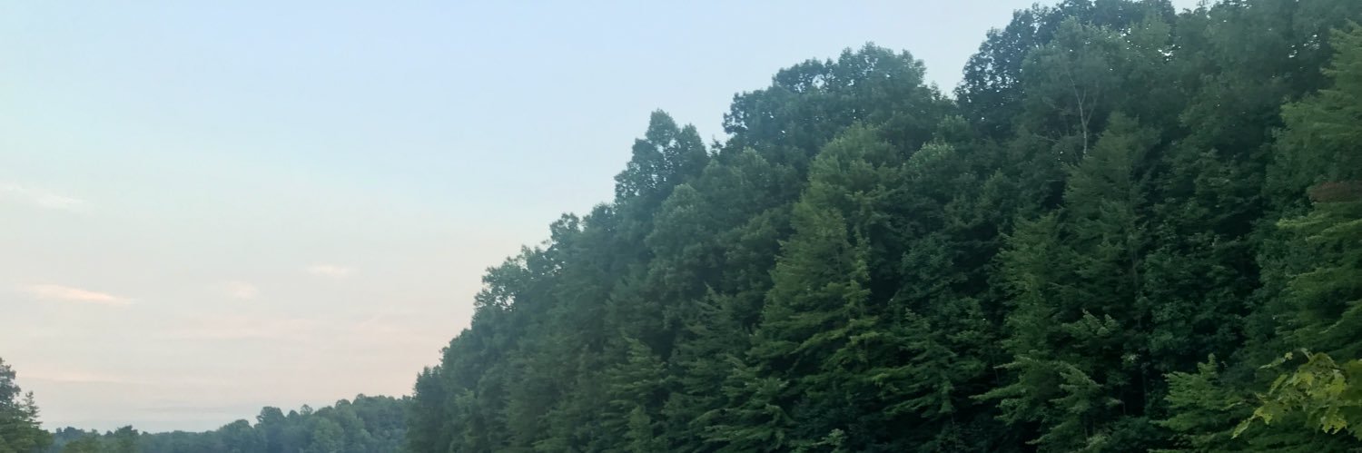 schast's profile banner image