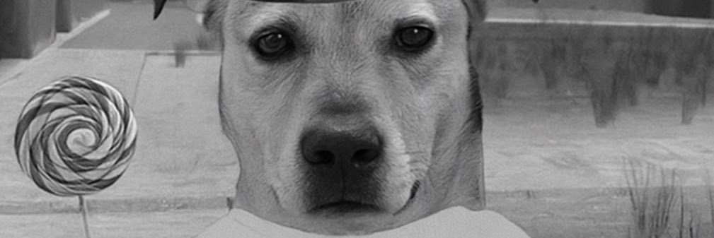camimfs's profile banner image