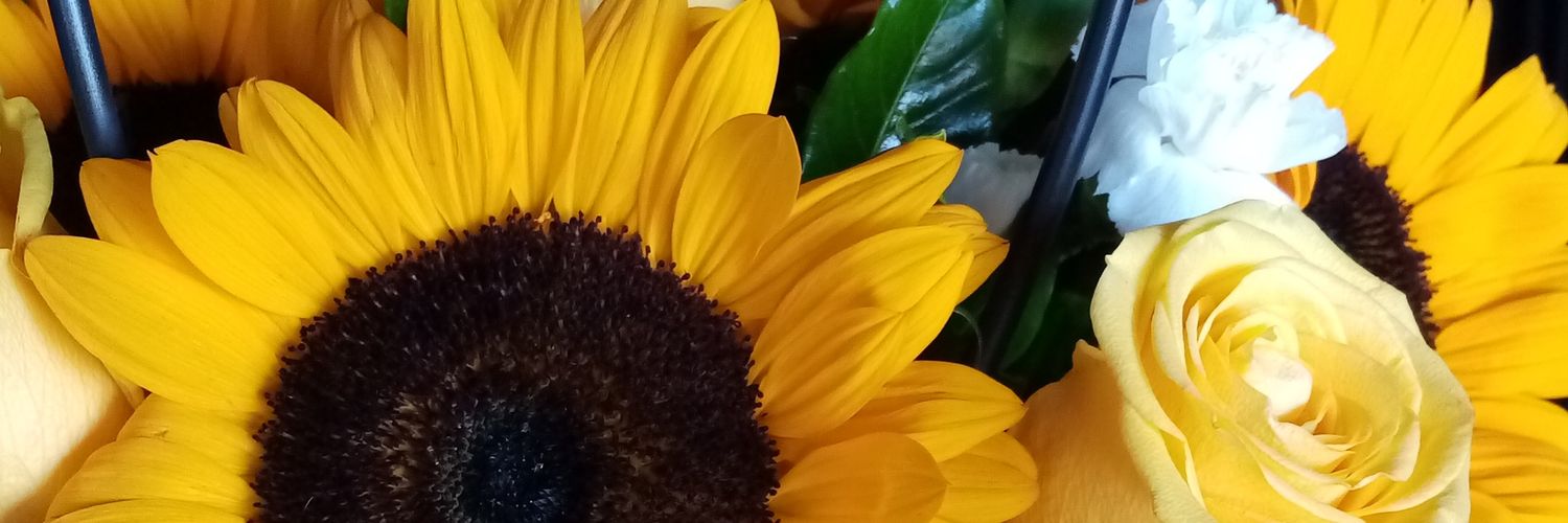 Azu_mj_'s profile banner image