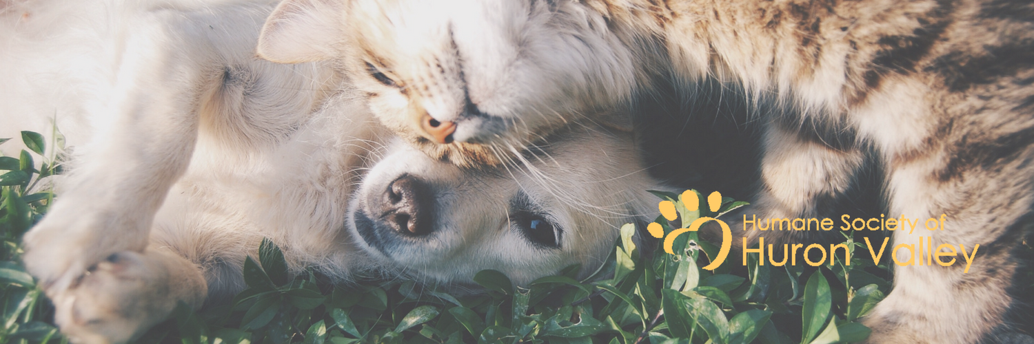 HS of Huron Valley banner