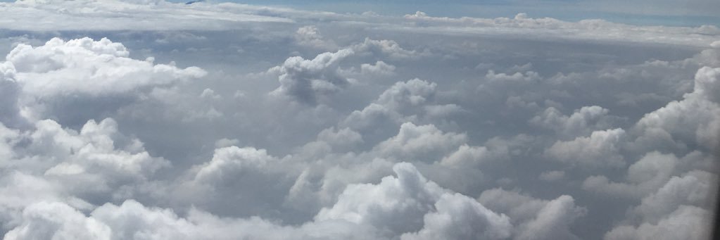 reiniitta's profile banner image
