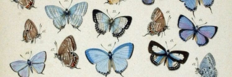 TaylorTebben's profile banner image