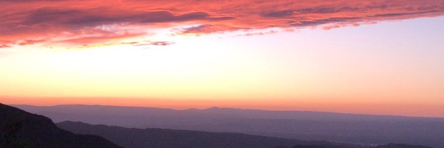 alitserniuk's profile banner image