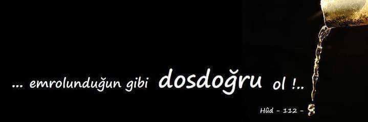 mervekarabull's profile banner image