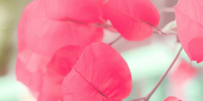 praditazulfi's profile banner image