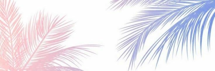 Laura González 👸🏽 banner