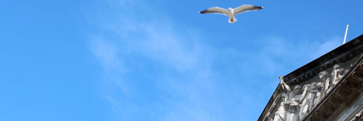 lisemcg's profile banner image