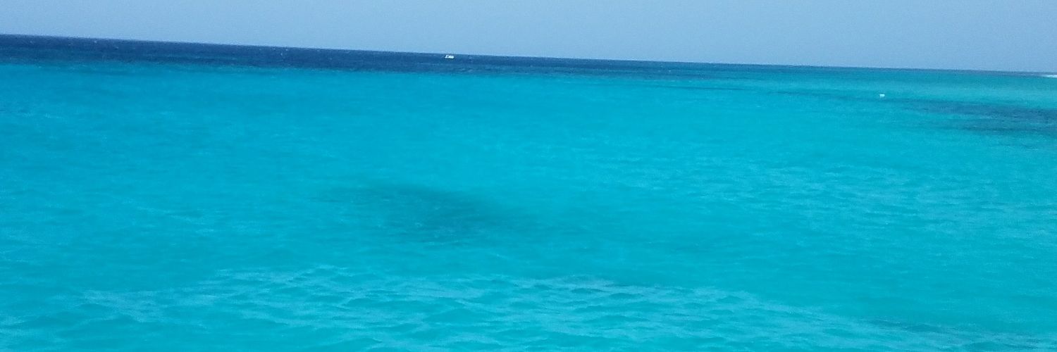 mrprez_84's profile banner image