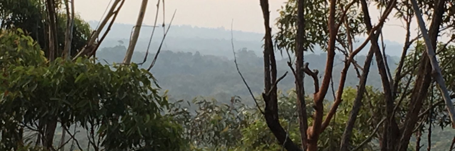 Allison Gentle banner