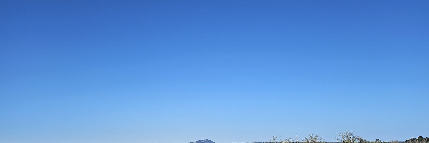 SnowyyBird's profile banner image