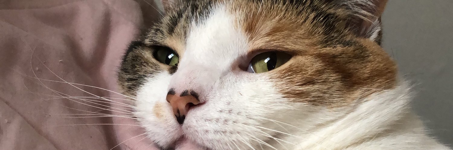 miaaisabel_'s profile banner image