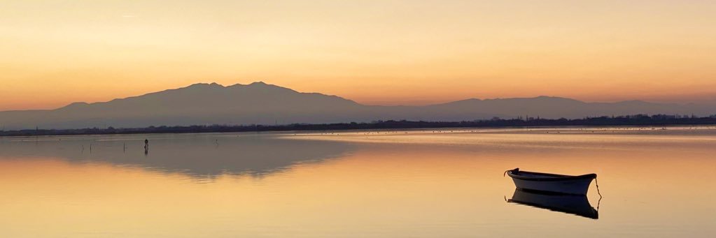 Jordi Dotras Targas banner