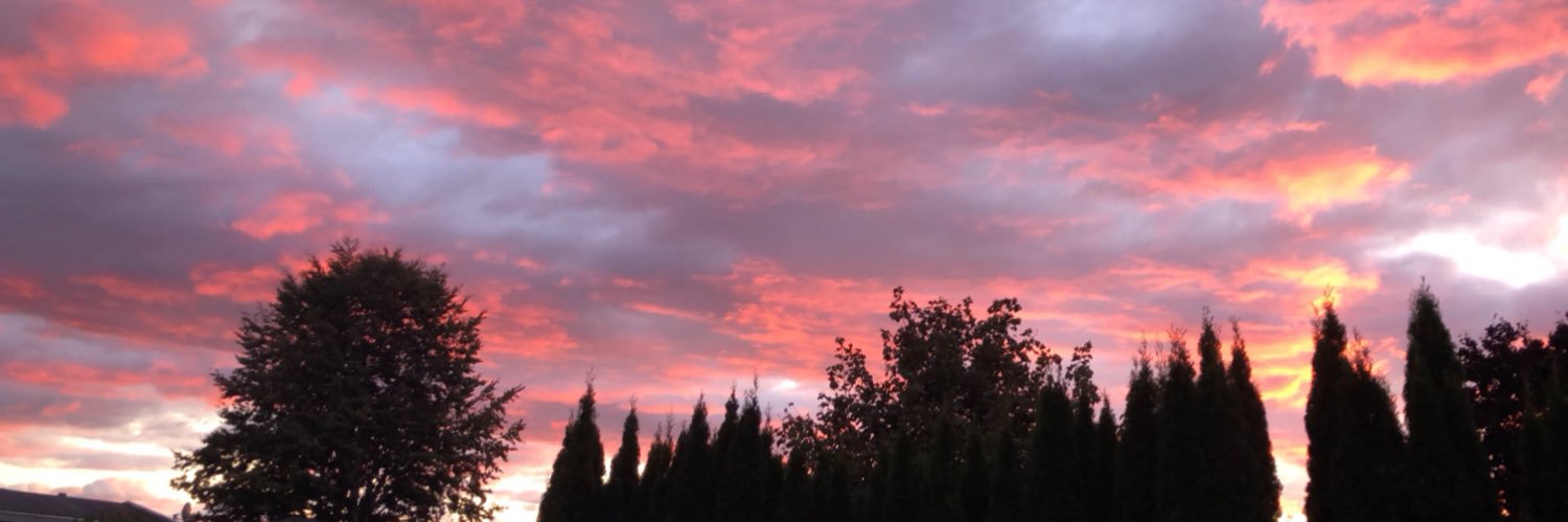 Jaydinlees1's profile banner image