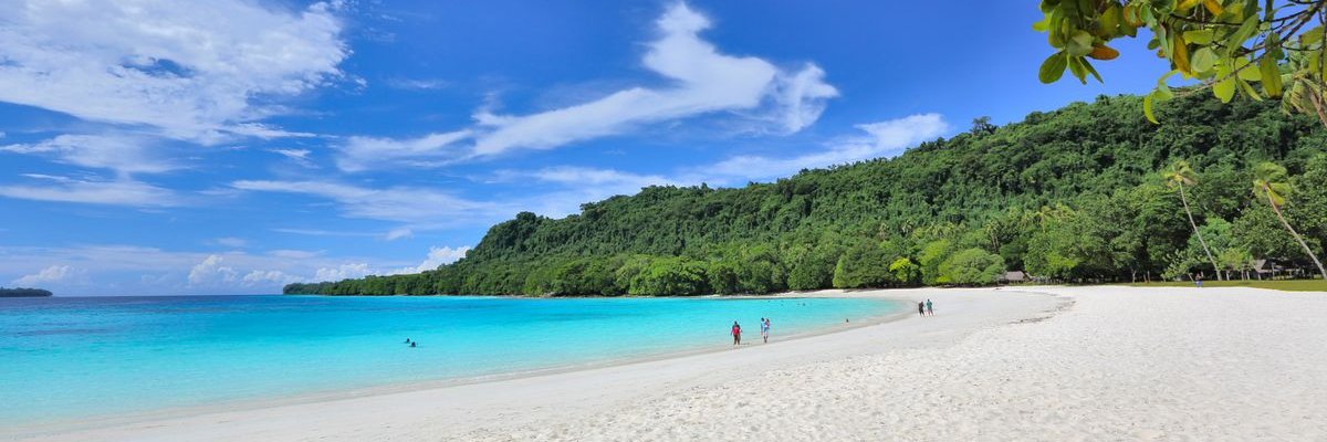 Mainlabswebsite's profile banner image