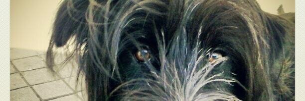 eliarribas's profile banner image