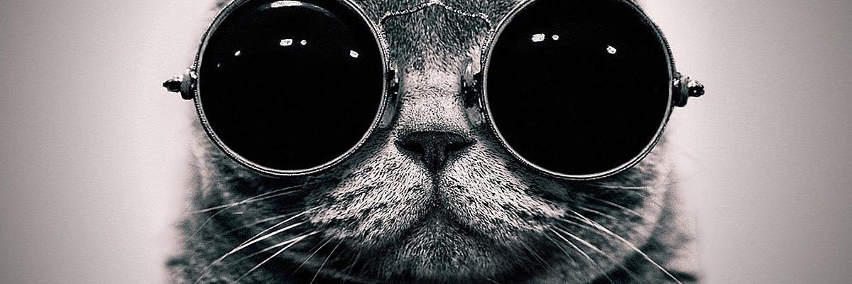ifizenakos's profile banner image