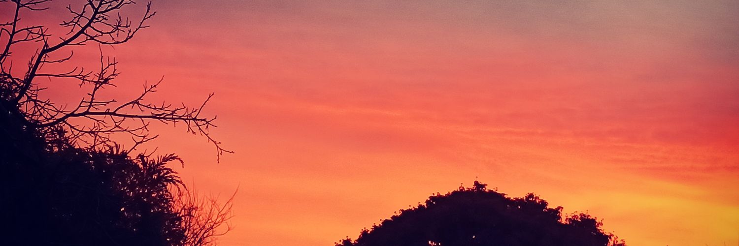 A 🌈🔥 banner