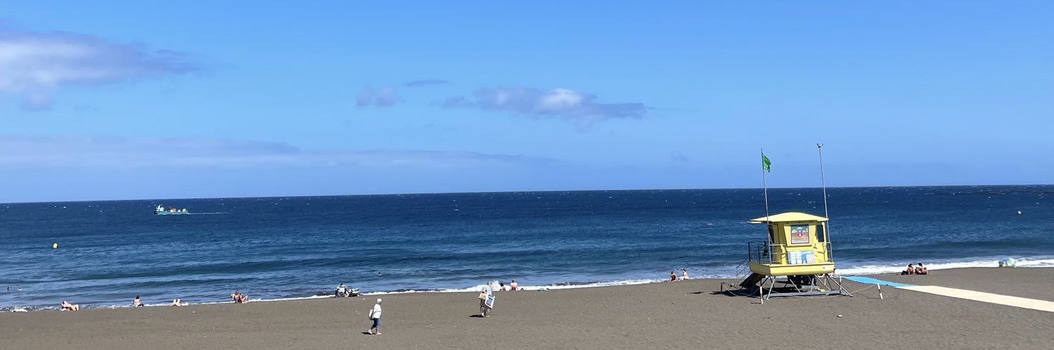 Virginia Valladares banner