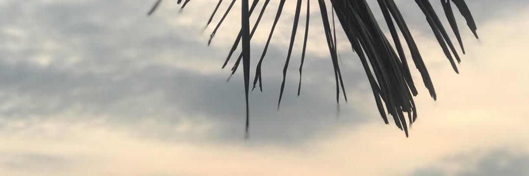 LifaHighmore's profile banner image