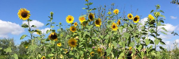 Charna_1 Profile Banner