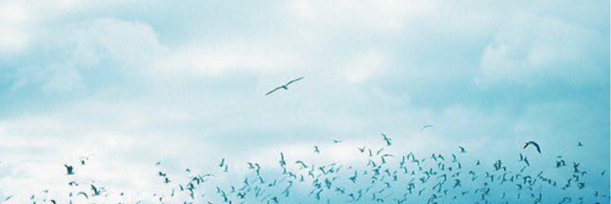 maweshaaa's profile banner image