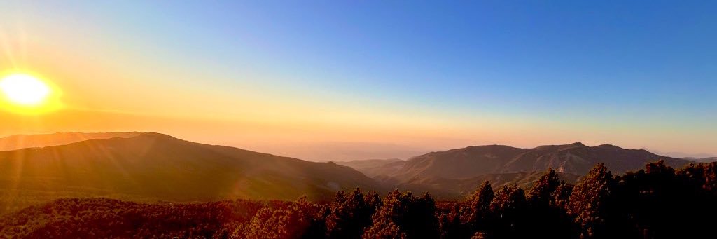 Mustafa Şahin banner