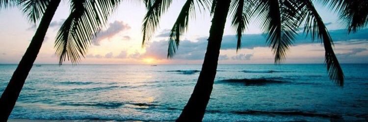 kelsdecoster's profile banner image
