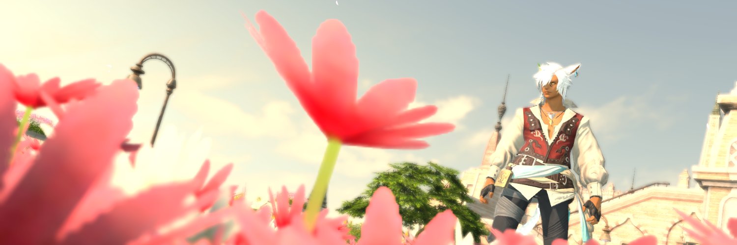 dq10_noah's profile banner image