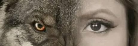 sharon_068's profile banner image