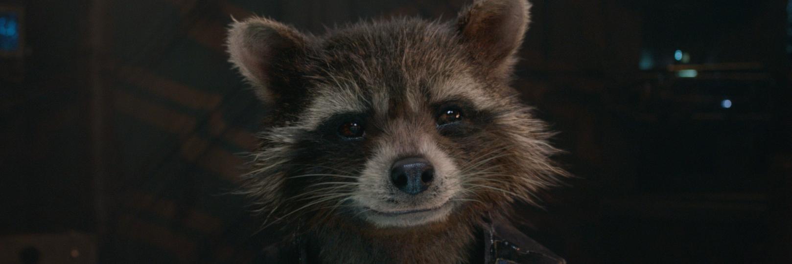 _sammytornos's profile banner image