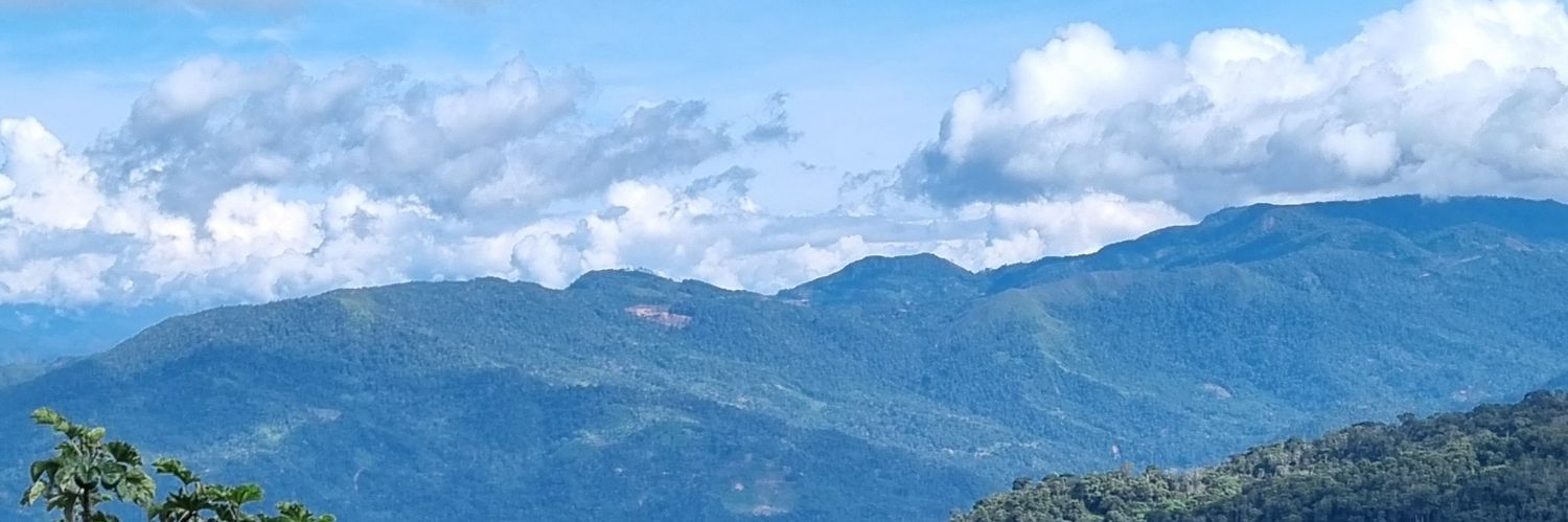 Fernando López Ariñez banner