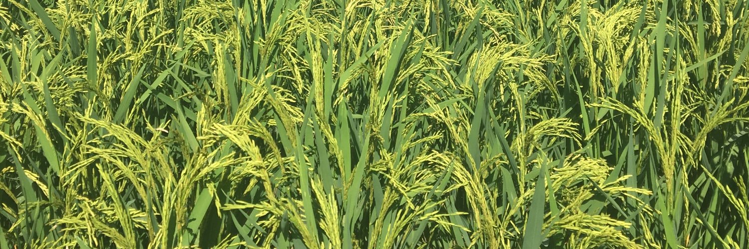 Scott Franklin banner