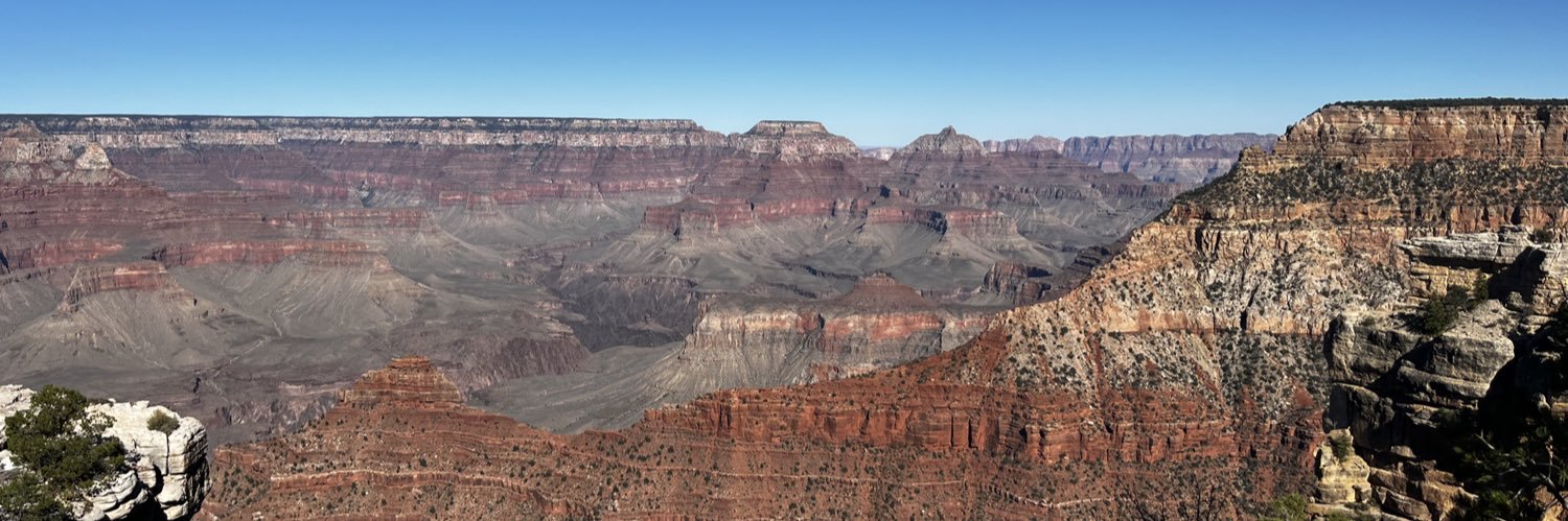 Daniel Fisher banner