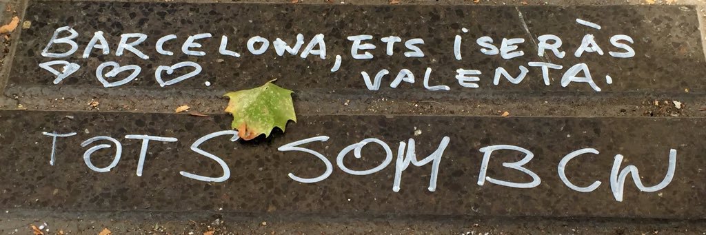 Edgar Collado banner