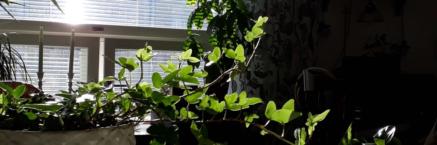 Nairje's profile banner image