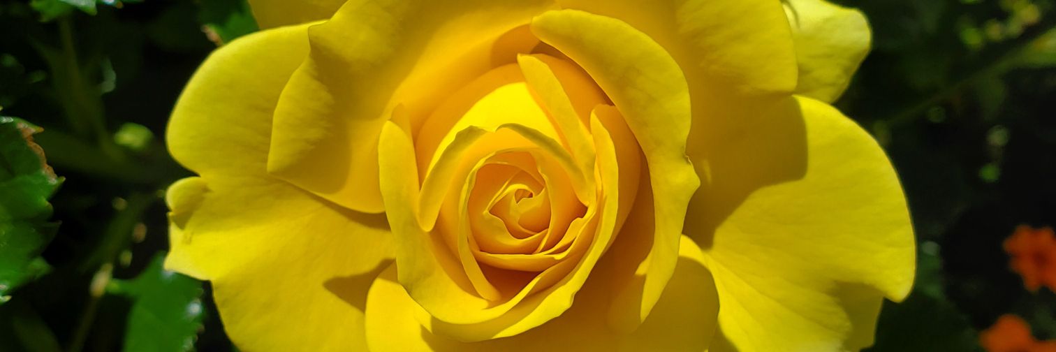 hrkkhr's profile banner image