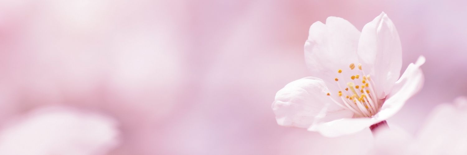 Chickityta's profile banner image