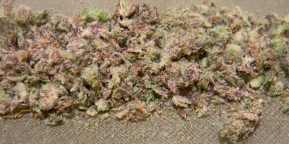 Sir_Kushington's profile banner image