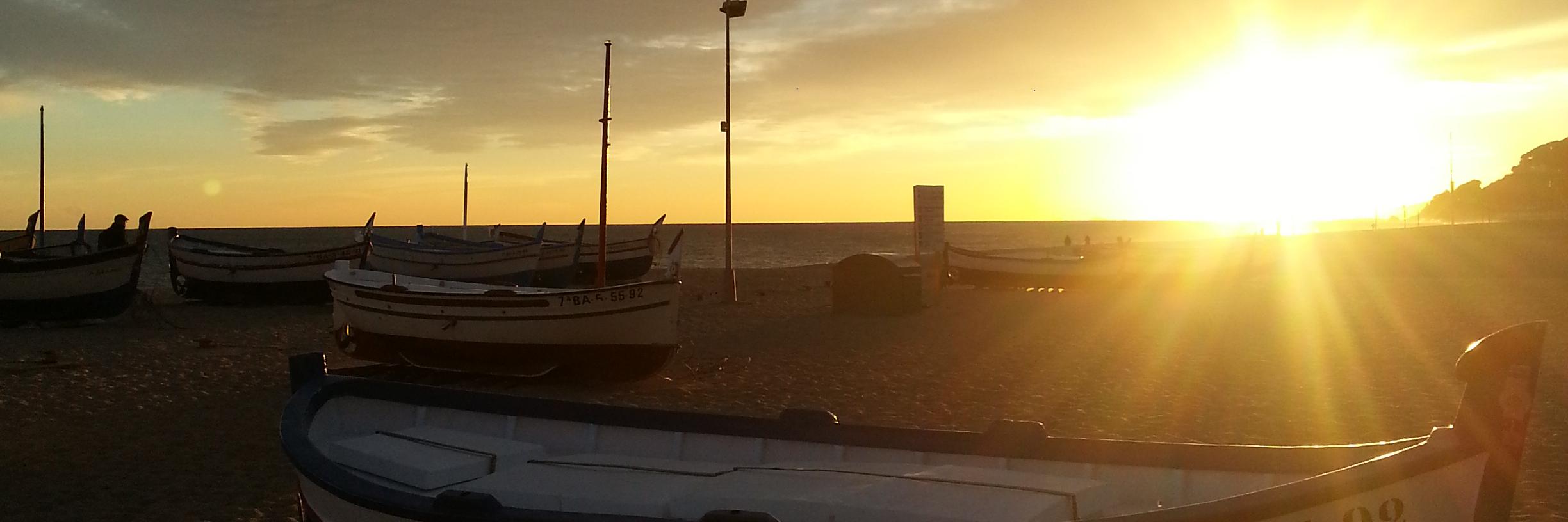 maritorrecillas's profile banner image