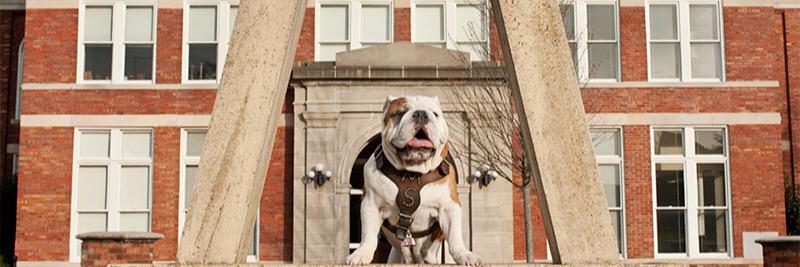 IISEmsstate's profile banner image