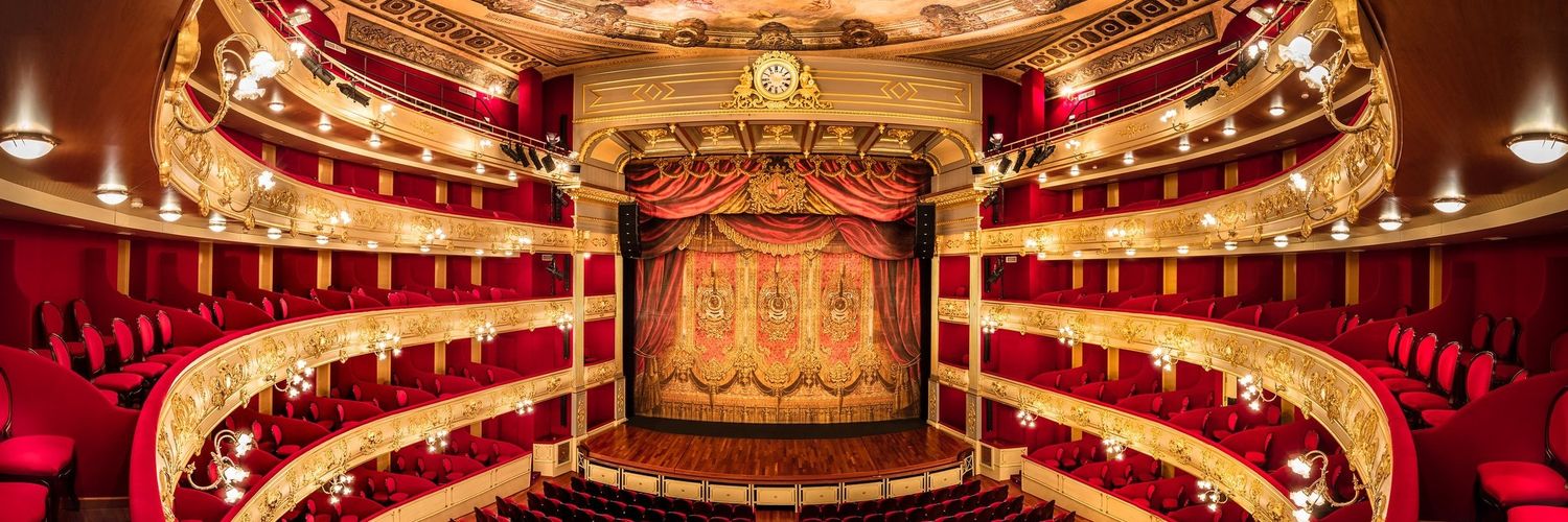 Miquel Martorell Vicens banner